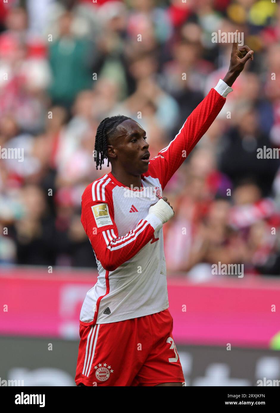 Mathys Tel vom FC Bayern München bejubelt sein Tor zum 6:0 FC Bayern München vs VFL Bochum Fussball 1.Bundesliga Saison 2023/24 5. Spieltag Allianz Arena 23.09.2023 © diebilderwelt / Alamy Stock Stockfoto