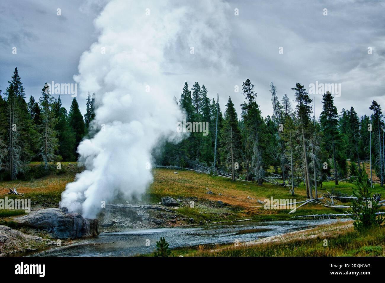 Riverside Geysir ist einer der bildhaftesten Geysire von Yellowstone. Er bricht sehr regelmäßig alle 6,5 Stunden aus und variiert etwa 30 Minuten Stockfoto