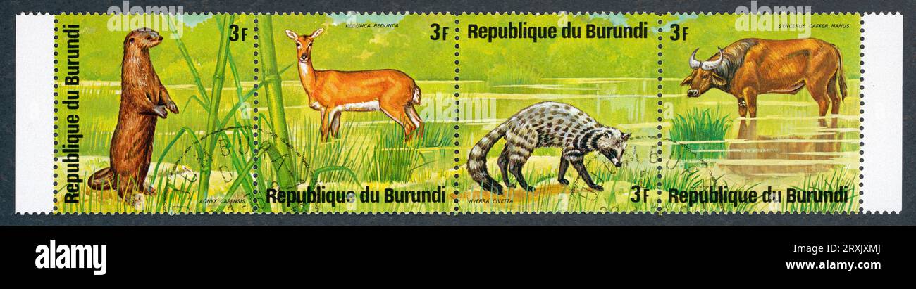Streifen mit 4 Briefmarken mit afrikanischen Tieren. Burundi, 1975. Tiere: Aonyx capensis, Redunca redunca, Civettictis civetta, Syncerus caffer nanus. Stockfoto