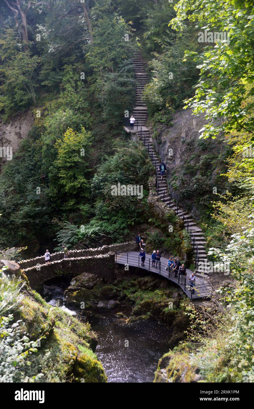 Blick auf die Stone Bridge unter den Aira Force Wasserfällen auf dem Ullswater Way Wanderweg im Lake District National Park, Cumbria, England, Großbritannien Stockfoto