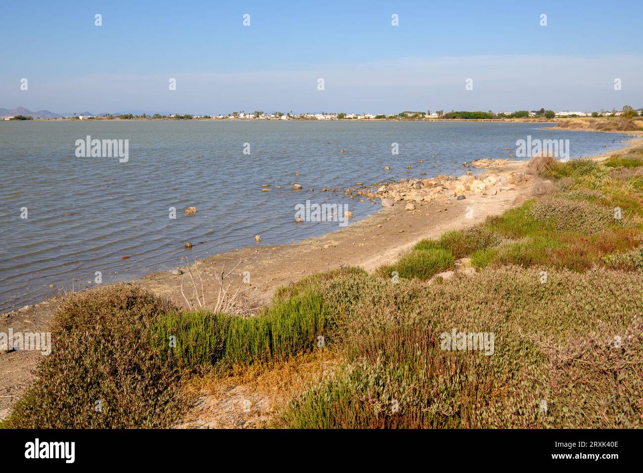 Tigaki Salzsee (Alykes) auf der Insel Kos. Griechenland Stockfoto