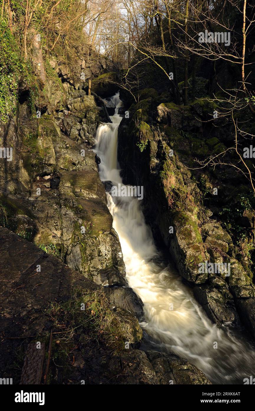 Kaskade auf der Afon Sychryd an der Seite von Craig y Ddinas. Gesamtfall von etwa 25 Fuß. Stockfoto