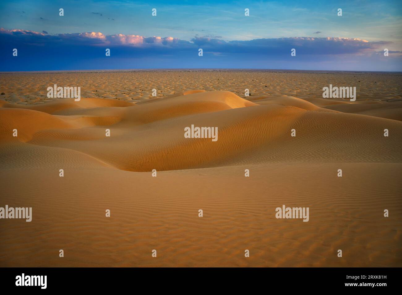 Sonnenuntergang über den Sanddünen der arabischen Wüste in Oman Stockfoto