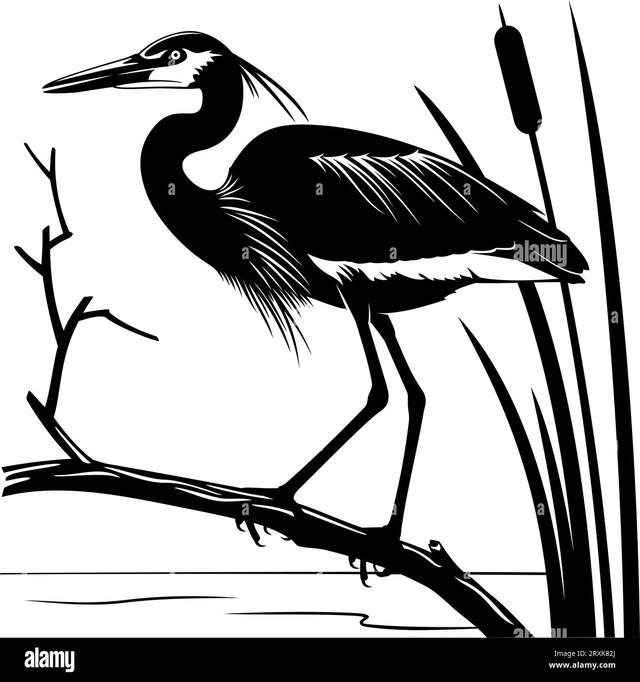 Silhouette eines Herons, der auf einem Ast steht. Schwarz-weiß-Schablonenvektorillustration. Vogel, Ast, Schilf und Wasser sind separate Objekte. Stock Vektor