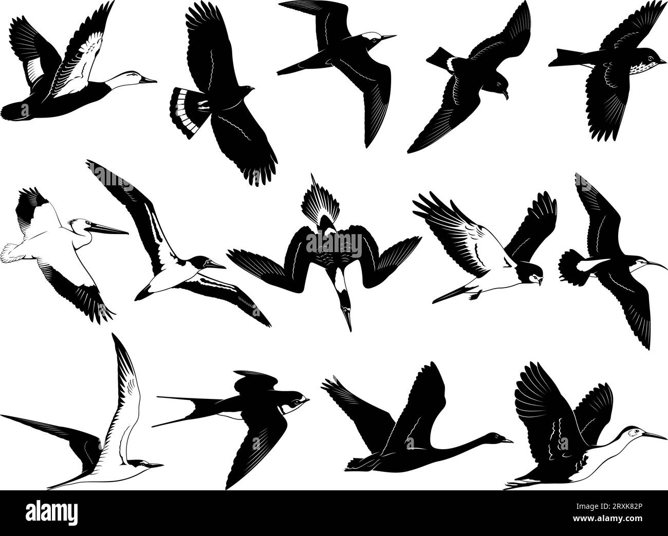 Fliegende Vögel Silhouetten. Schwarz-weiß-Schablonen-Vektorklipseln isoliert auf weiß. Stock Vektor