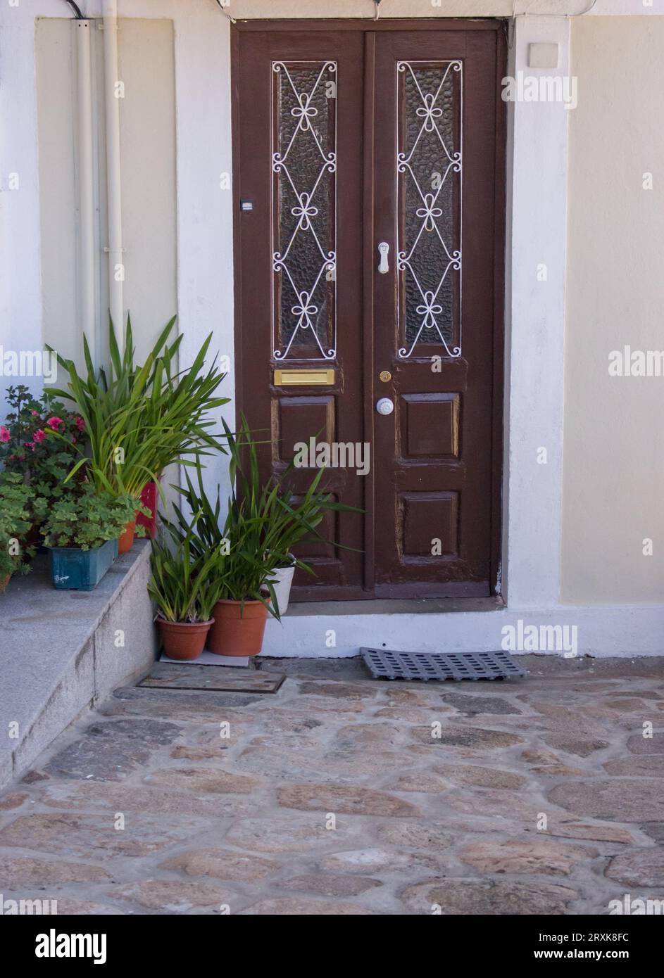 Braune Tür mit Fenstern und Blumentöpfen im alten Haus. Gemütlicher Hinterhof mit Blumentöpfen und Pflanzen. Elegante Fassadendekoration in Portugal. Stockfoto
