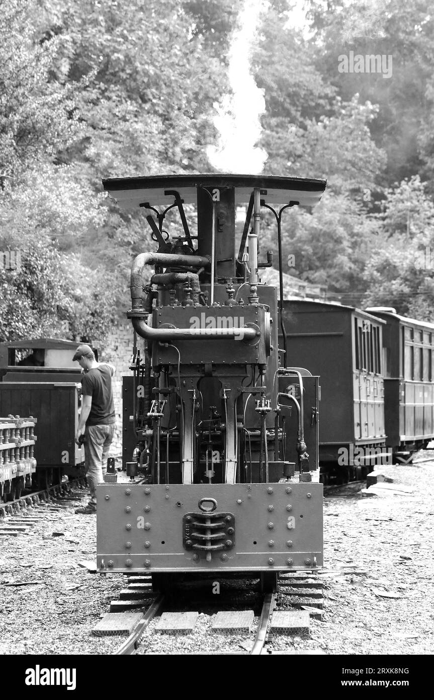 „Fernilee“ im Felin Fawr. Stockfoto