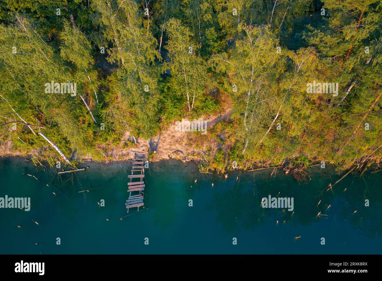 Herbstsinfonie: Das sanfte Läppen des Sees harmoniert mit den flüsternden Blättern des Waldes Stockfoto