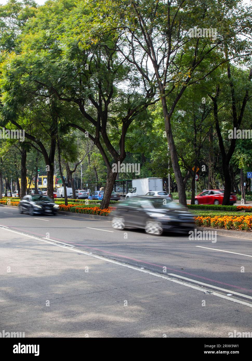 Avenida Reforma durch den Chapultepec Park in Mexiko-Stadt, Mexiko Stockfoto