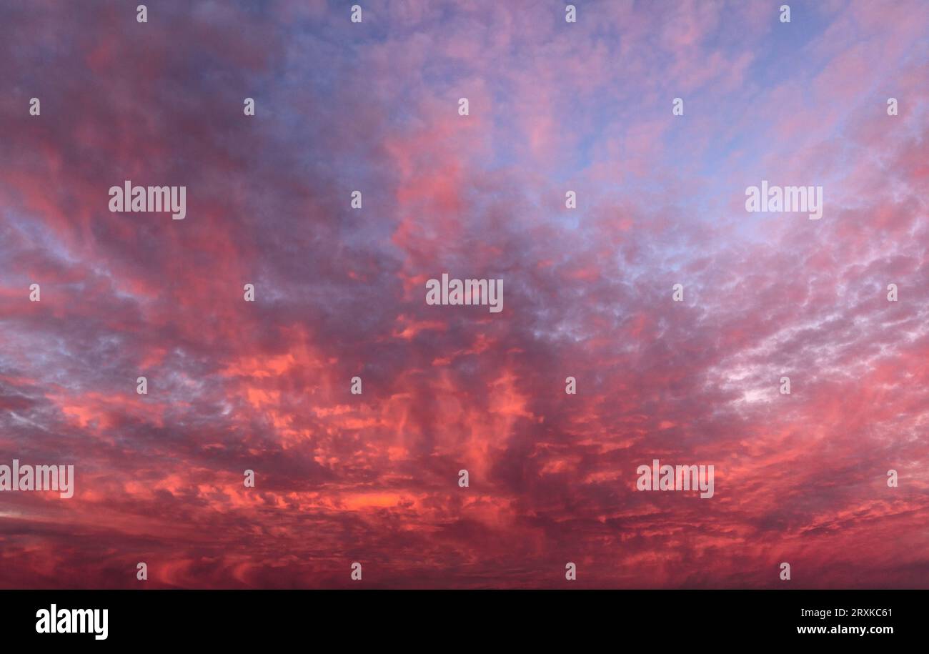 Sunrise's Painted Sky: Ein Wandteppich aus leuchtendem Orange Stockfoto