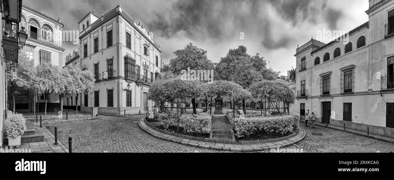 Infrarotansicht der Plaza de Santa Cruz, Sevilla, Andalusien, Spanien Stockfoto