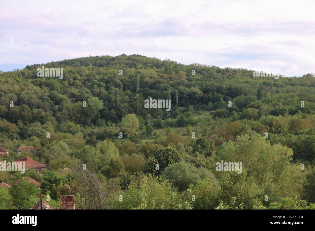 Landschaft Stockfoto