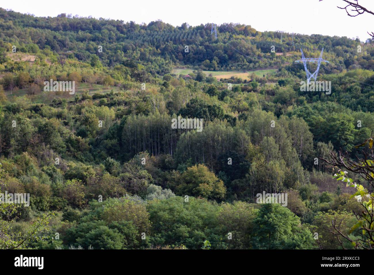 Landschaft Stockfoto