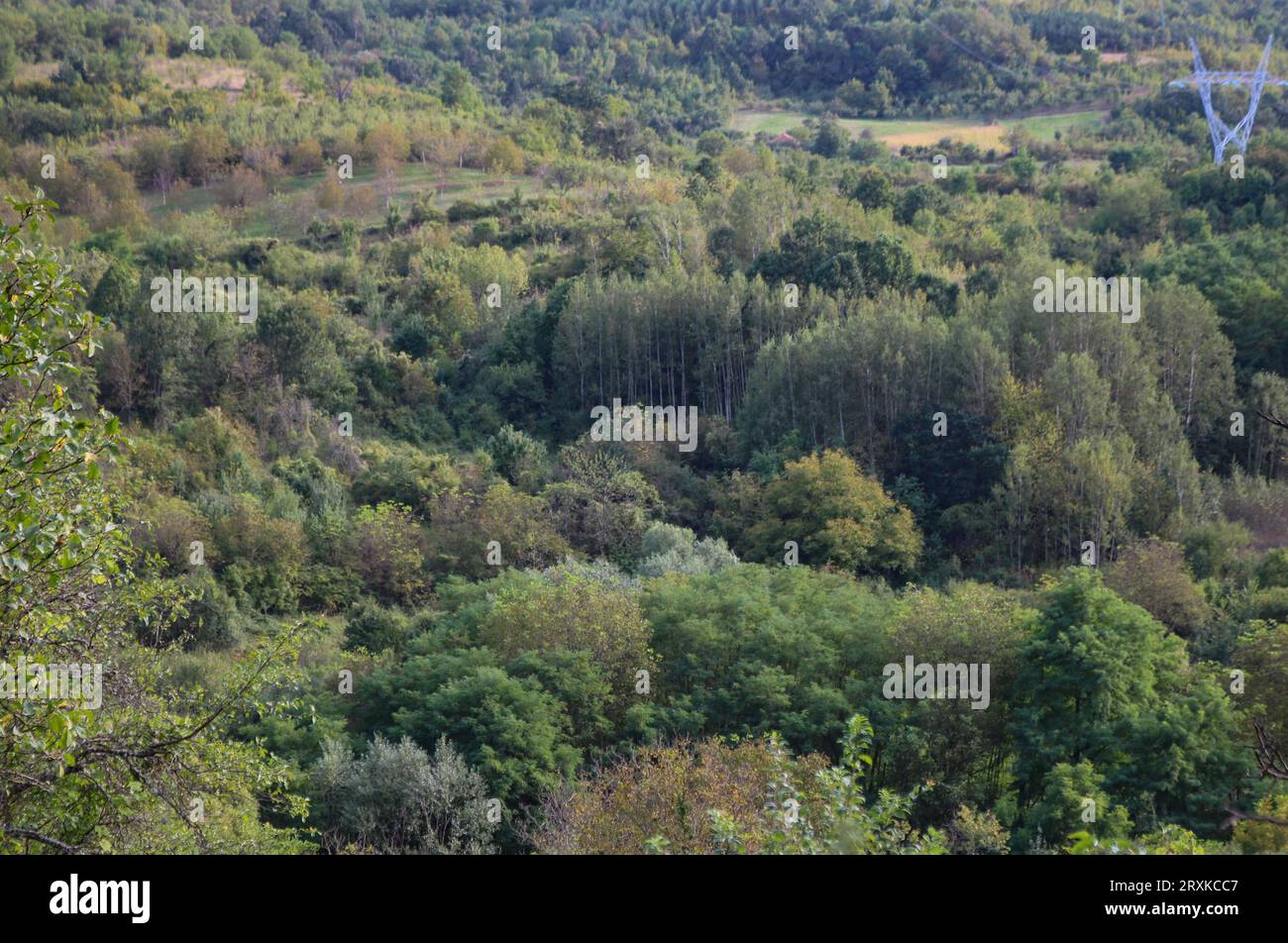 Landschaft Stockfoto