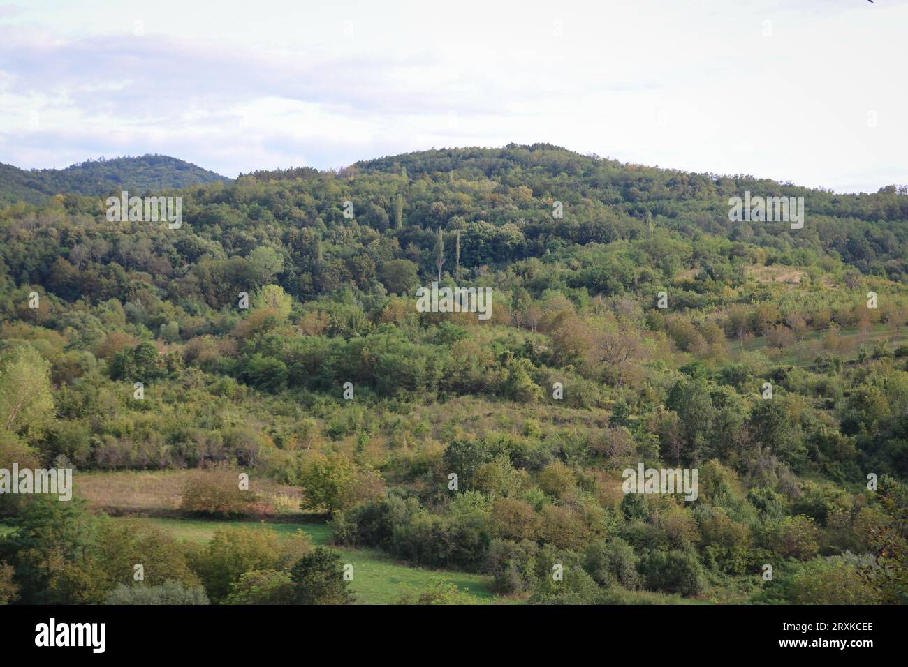 Landschaft Stockfoto