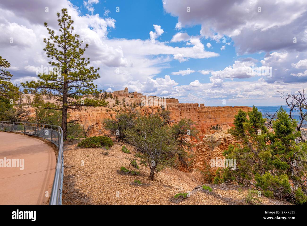 Aussichtspunkt im Brice Canyon National Park, Utah, USA Stockfoto