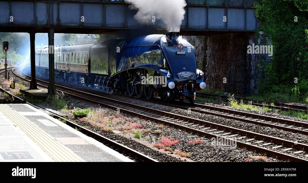 LNER Klasse A4 Pacific No 60007 Sir Nigel Gresley, der mit der Rückfahrt von Plymouth durch den Bahnhof Totnes fährt. Stockfoto