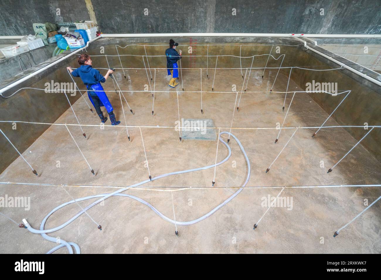 Luannan County, China - 24. März 2023: Arbeiter, die das Brutbecken für Rotflossen-Puffer-Fische reinigen. Stockfoto