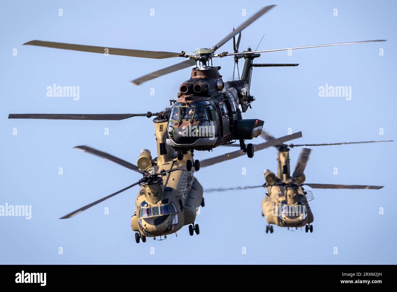 Royal Netherlands Air Force AS532 Cougar und zwei CH-47F Chinook Hubschrauber starten. Ede, Niederlande - 16. September 2023 Stockfoto