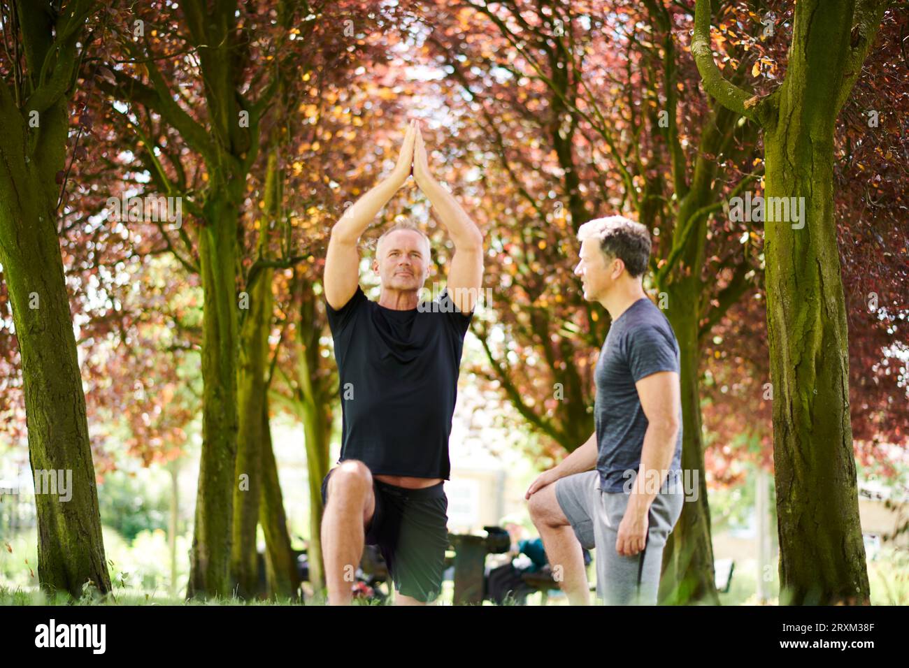 Reife Männer, die Yoga im Park üben Stockfoto