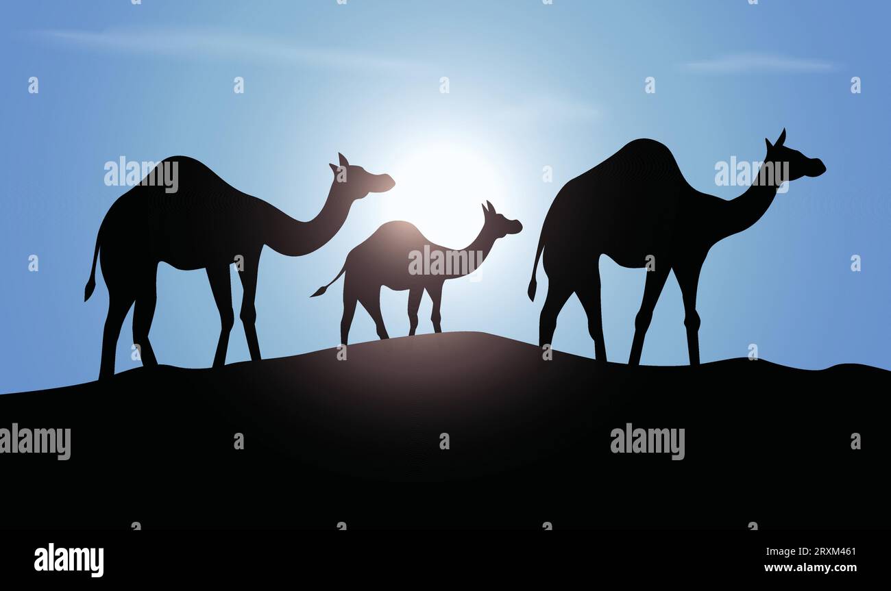 Silhouette mit Kameldesign. Handgezeichnete Vektorillustration im Minimalismus-Stil Stock Vektor