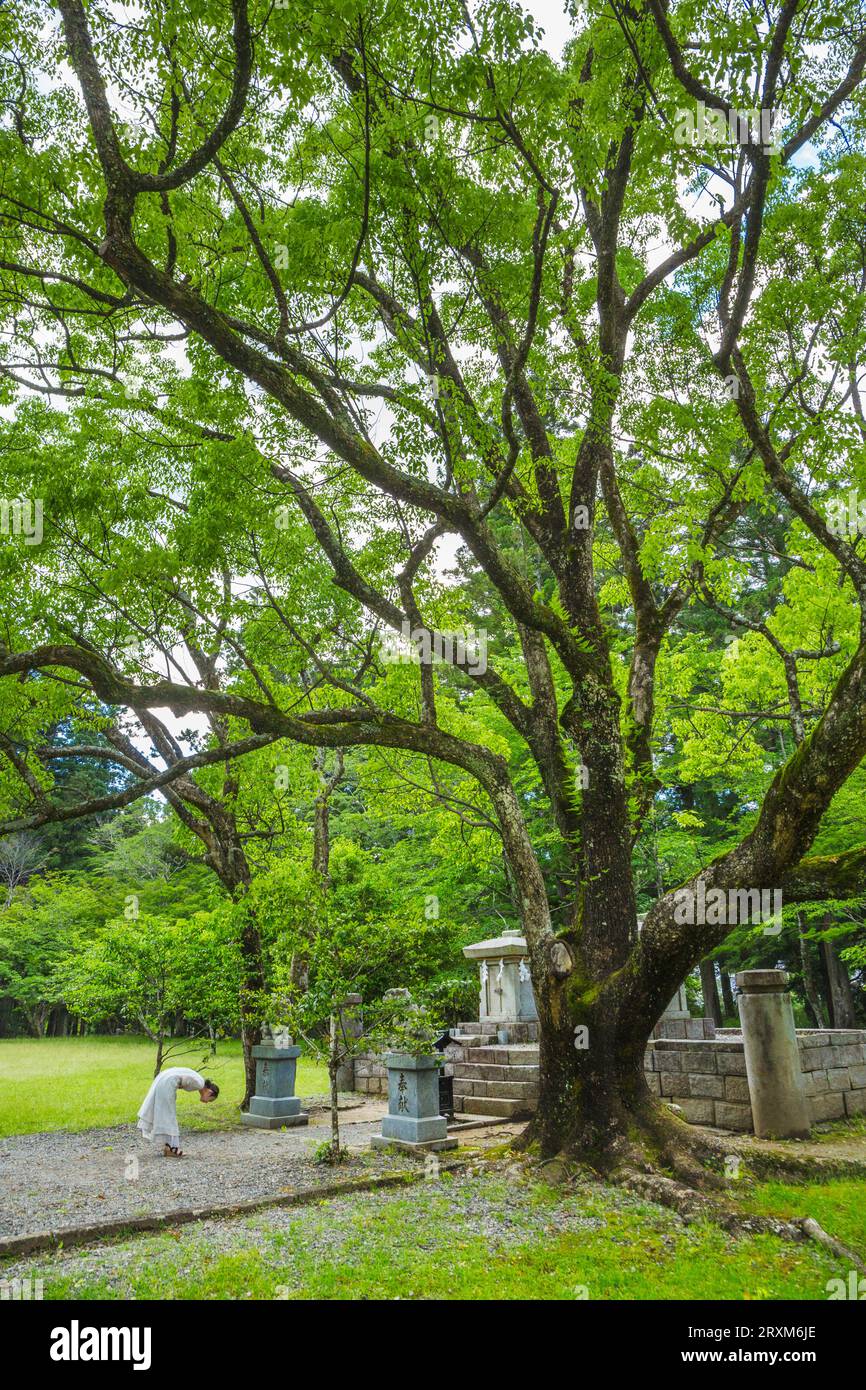 Kumano Kodo Pilgerweg. Rund um den Grand Schrein, Kumano Hongu Taisha. Nakahechi. Präfektur Wakayama. Kii Halbinsel. Kansai Region. Honshü Isla Stockfoto