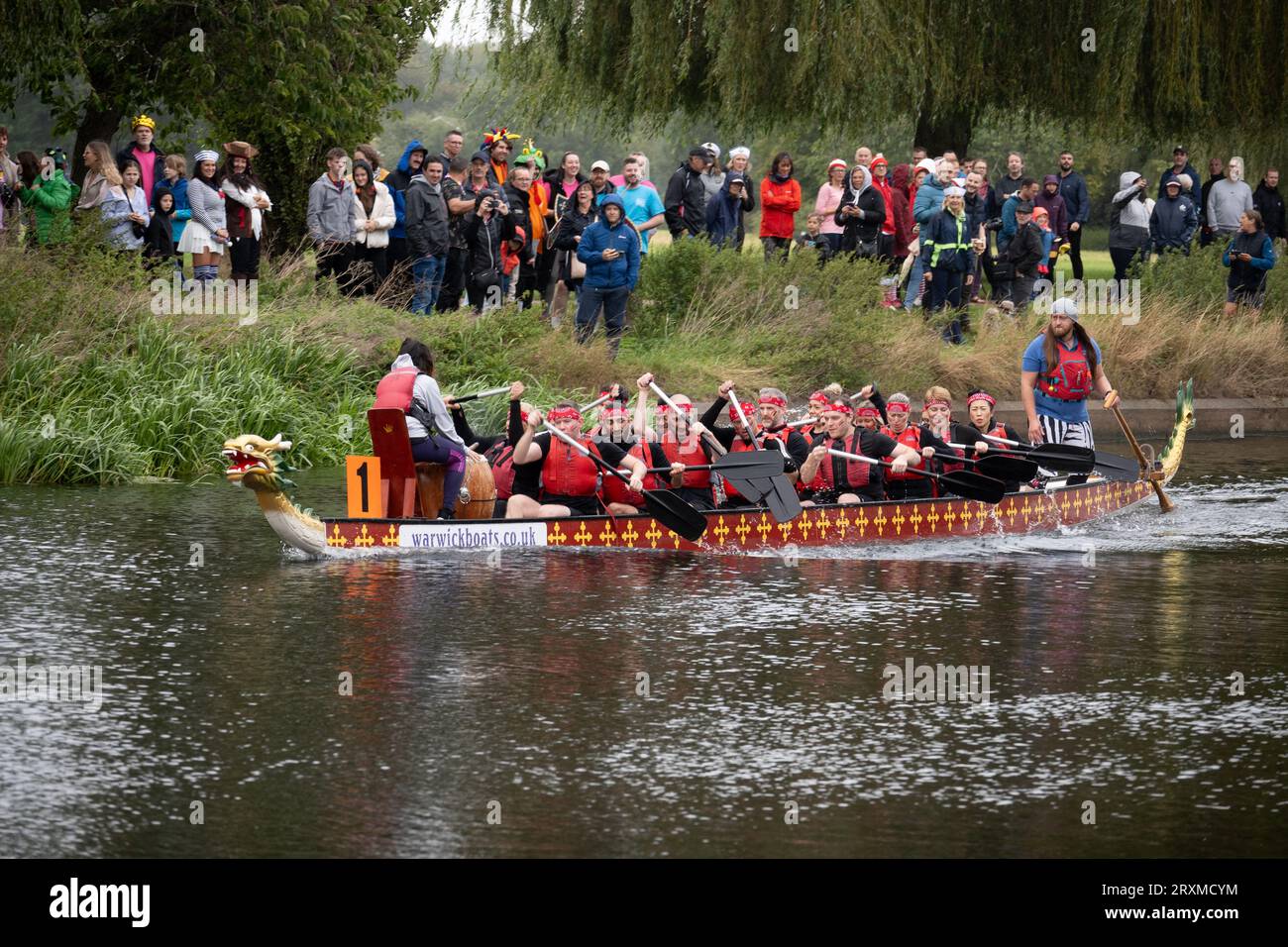 Dragon Boat Racing, River Avon, Warwick, Warwickshire, England, UK Stockfoto