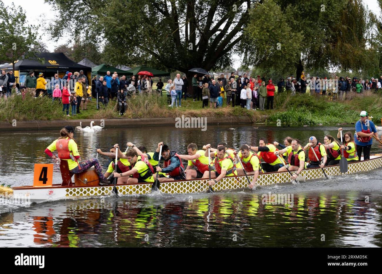 Dragon Boat Racing, River Avon, Warwick, Warwickshire, England, UK Stockfoto