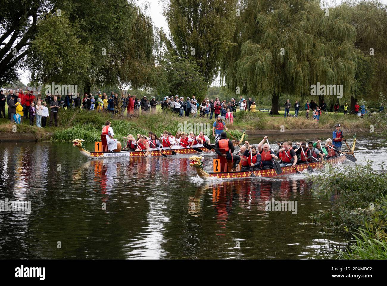 Dragon Boat Racing, River Avon, Warwick, Warwickshire, England, UK Stockfoto