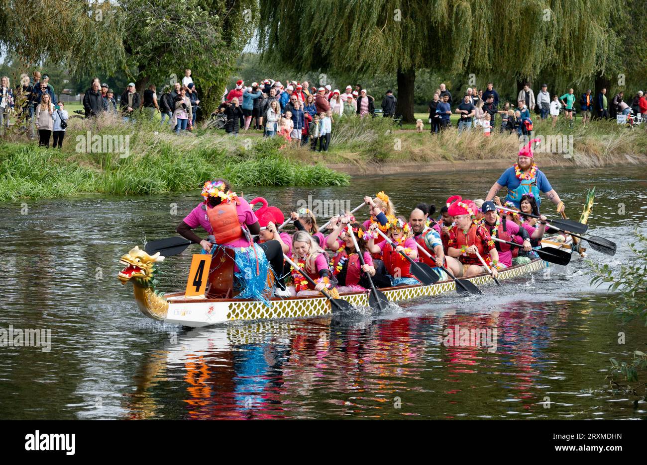 Dragon Boat Racing, River Avon, Warwick, Warwickshire, England, UK Stockfoto