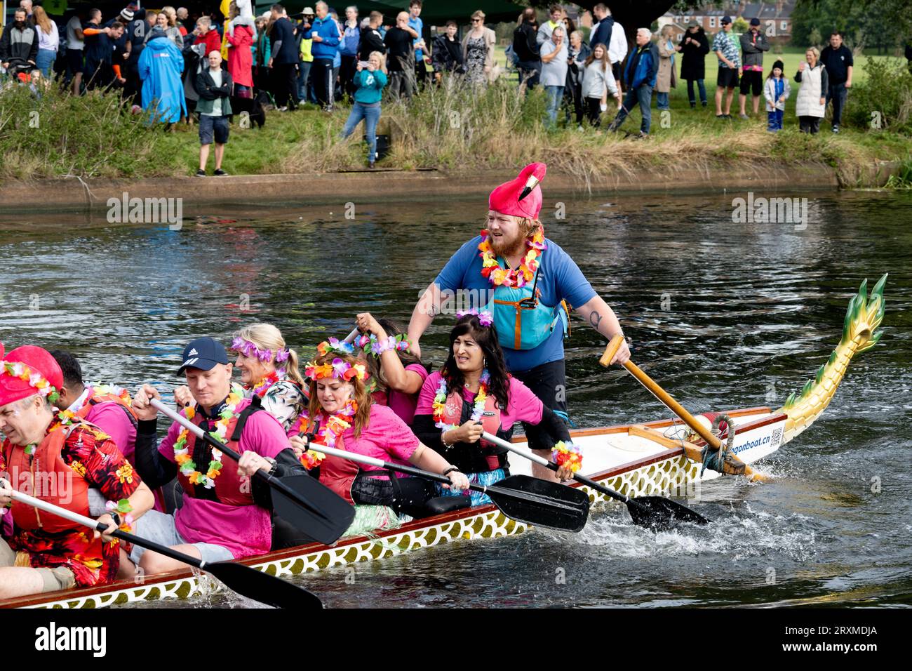 Dragon Boat Racing, River Avon, Warwick, Warwickshire, England, UK Stockfoto