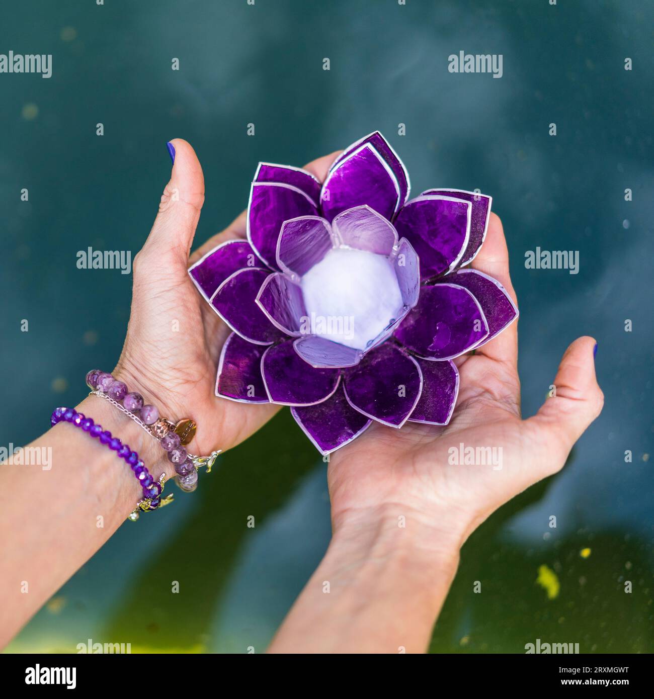 Ansicht der Hände, die einen violetten Glaslotus über Wasser halten. Yoga- und Meditationskonzept. Stockfoto