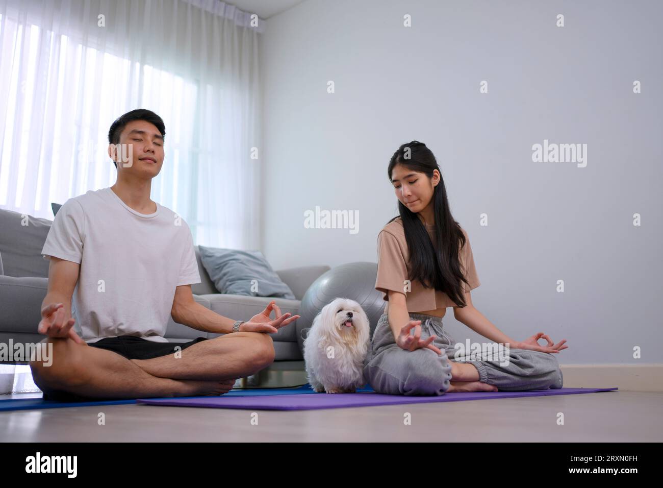 Das junge Paar spielt zu Hause Yoga. Lifestyle- und Freizeitkonzept. Stockfoto