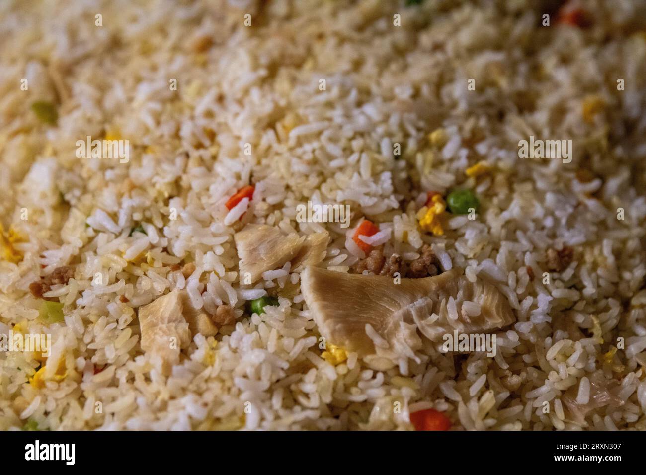 Chinesisches Hühnchen mit gebratenem Reis aus nächster Nähe Stockfoto