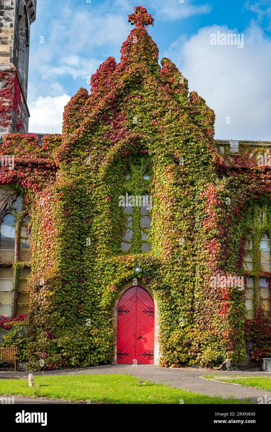 Liberton Kirk or Church, Edinburgh, Schottland, Großbritannien, 26. September 2023. Wetter in Großbritannien: Die Kirche ist bekannt für ihre Ausstellung von rotem Herbstefeuy. Gegen die rote Tür: Sally Anderson/Alamy Live News Stockfoto