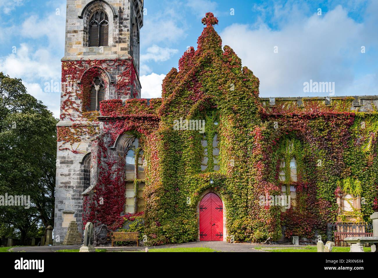 Liberton Kirk or Church, Edinburgh, Schottland, Großbritannien, 26. September 2023. Wetter in Großbritannien: Die Kirche ist bekannt für ihre Ausstellung von rotem Herbstefeuy. Gegen die rote Tür: Sally Anderson/Alamy Live News Stockfoto