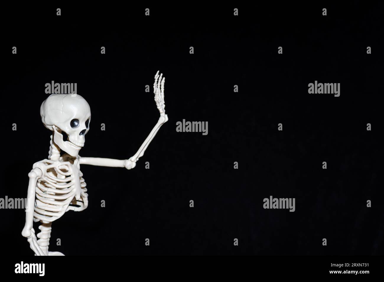 Menschliches Skelett, das mit der Begrüßungshand winkt, isoliert auf schwarzem Hintergrund. Ein Leben nach dem Tod. Hallo Halloween. Stockfoto