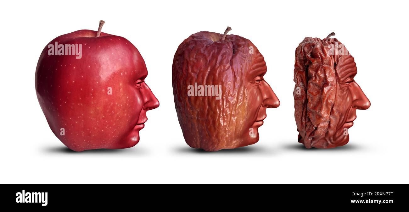 Alterung und Alterungsprozess als neuer, frisch reifer roter Apfel, der sich zersetzt und alt und faltig wird und den Menschen und Altersverlauf oder ältere Menschen repräsentiert Stockfoto