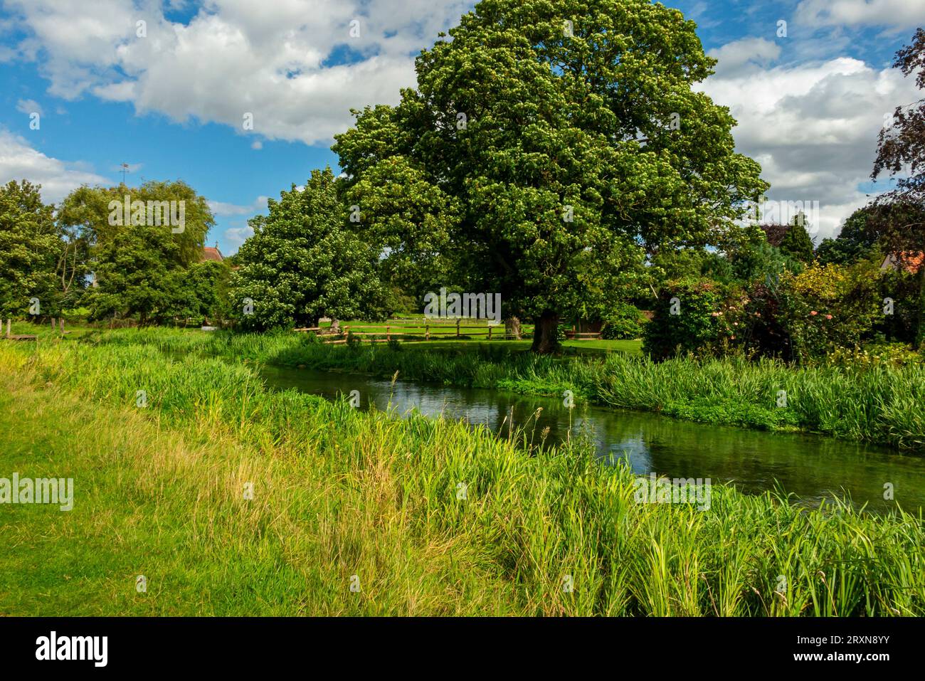Sommerblick auf den Fluss Bure in der Nähe des Dorfes Lamas in Norfolk England. Stockfoto