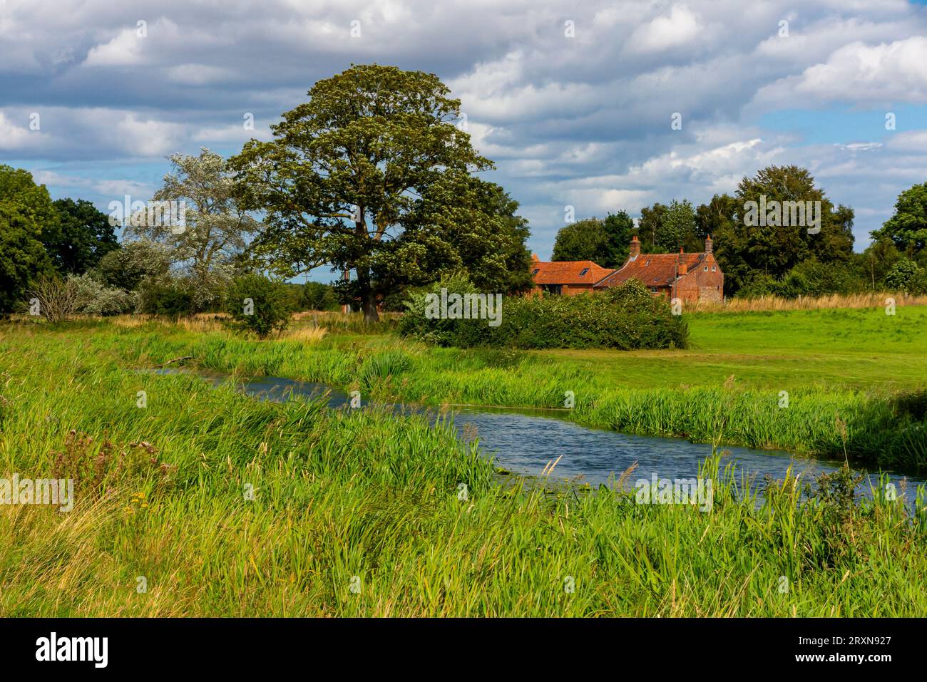 Sommerblick auf den Fluss Bure in der Nähe des Dorfes Lamas in Norfolk England. Stockfoto