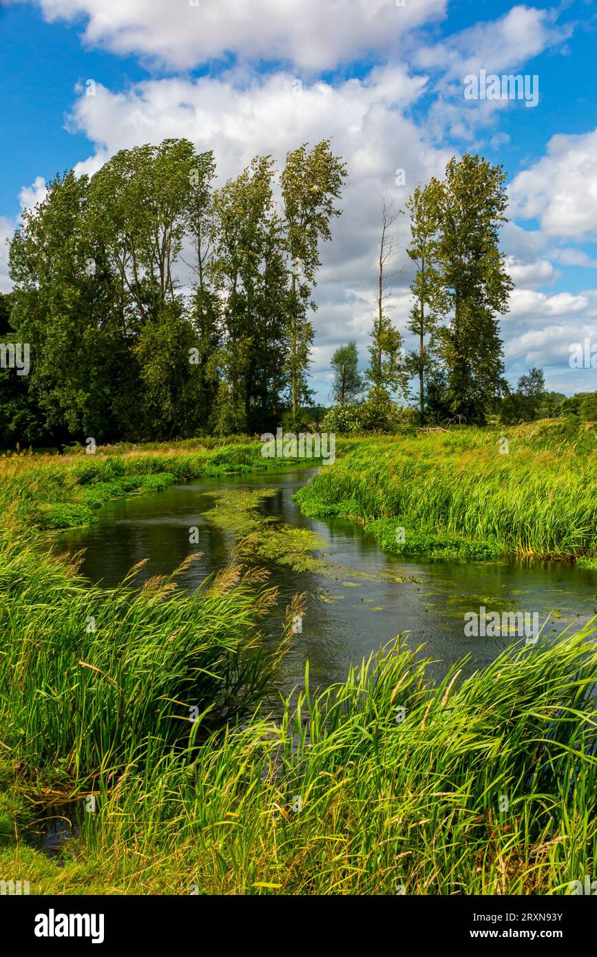 Sommerblick auf den Fluss Bure in der Nähe des Dorfes Lamas in Norfolk England. Stockfoto