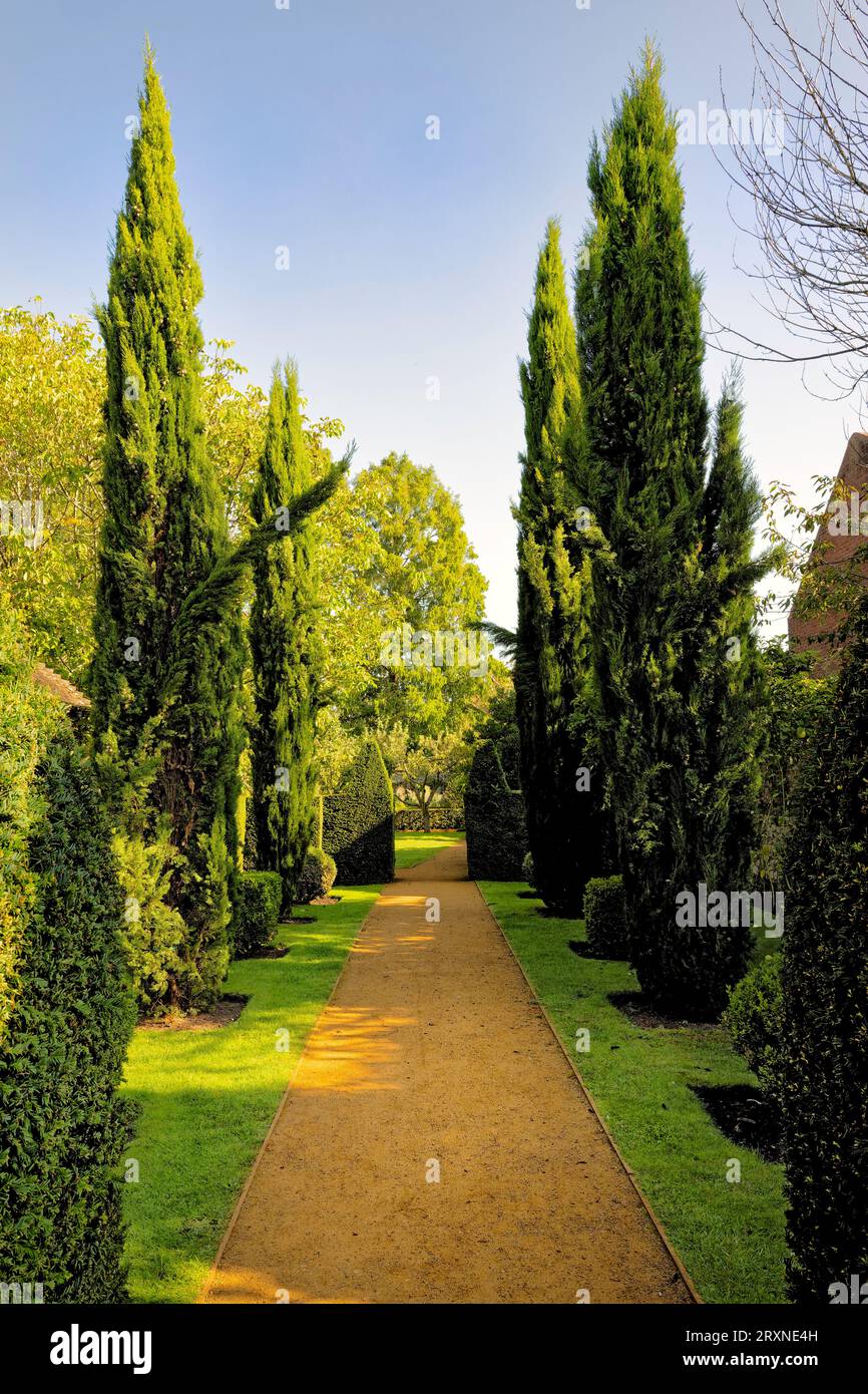 Die Eingangsallee am Petersfield Physic Garden. Stockfoto