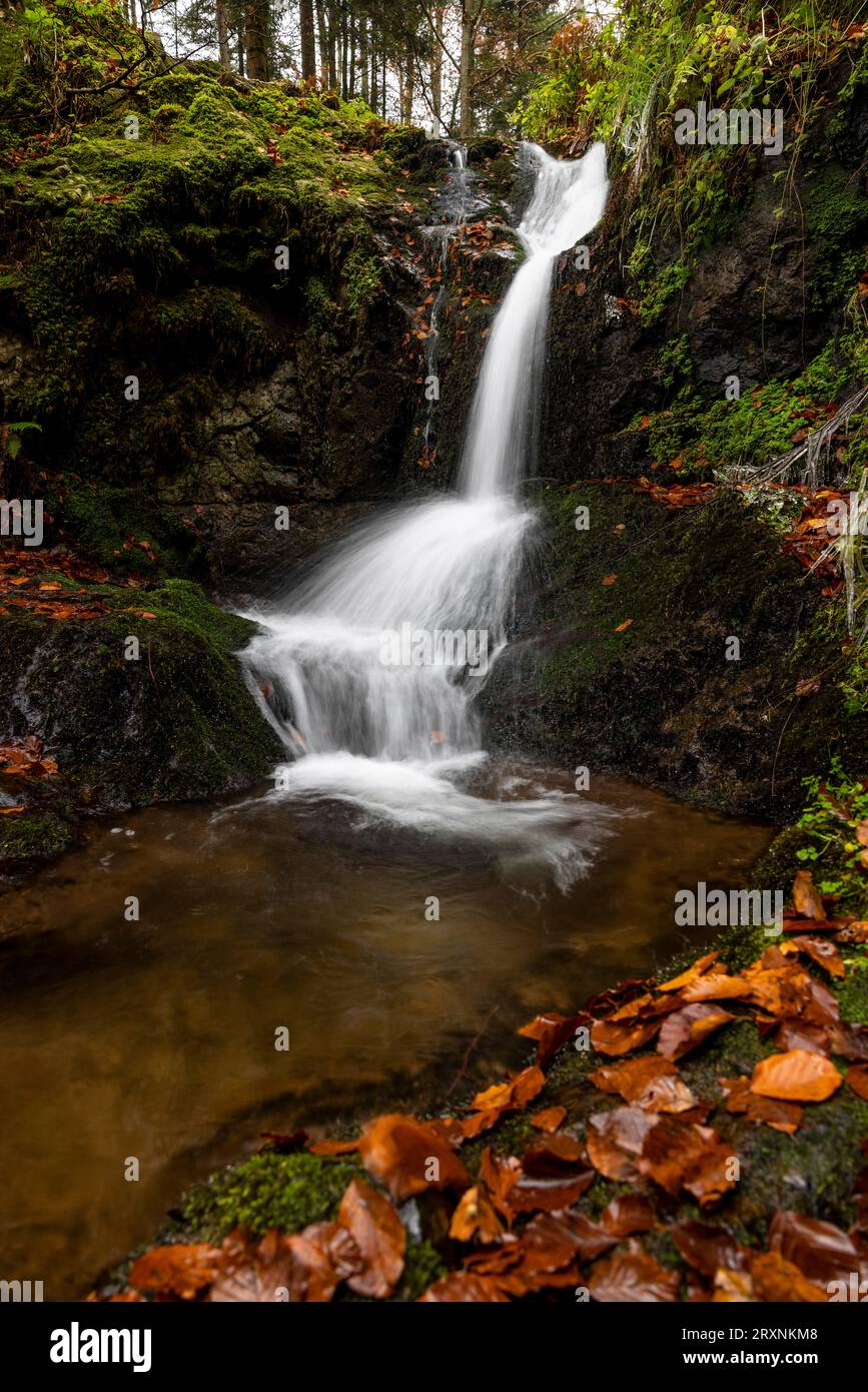 Wasserfall im Herbstwald, Holchener Wasserfall, Bad Peterstal-Griesbach, Nordschwarzwald, Baden-Württemberg, Deutschland Stockfoto