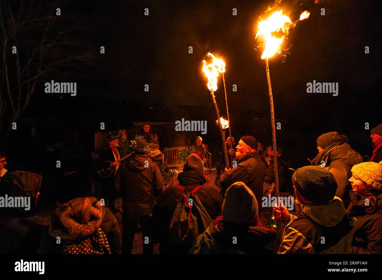 Eine traditionelle englische Wassail, eine Wintertradition, die eine gute Ernte von Apfelbäumen aus einem Obstgarten gewährleisten soll Stockfoto