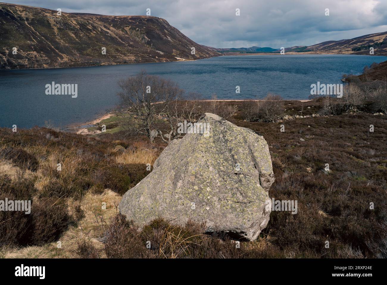 Großer Felsbrocken mit Blick auf den schottischen See mit Heidekraut und dramatischer Hochlandlandschaft Stockfoto