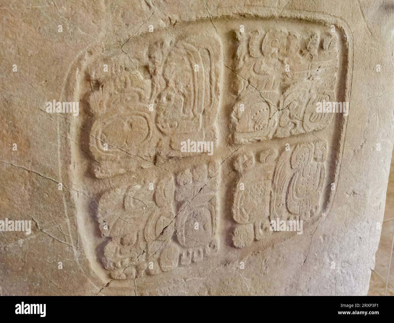 Tafel 3 aus der Struktur A9 im Museum des archäologischen Reservats Xunantunich in Belize. Diese Tafel war ursprünglich von einer Hieroglyphentreppe in Stockfoto