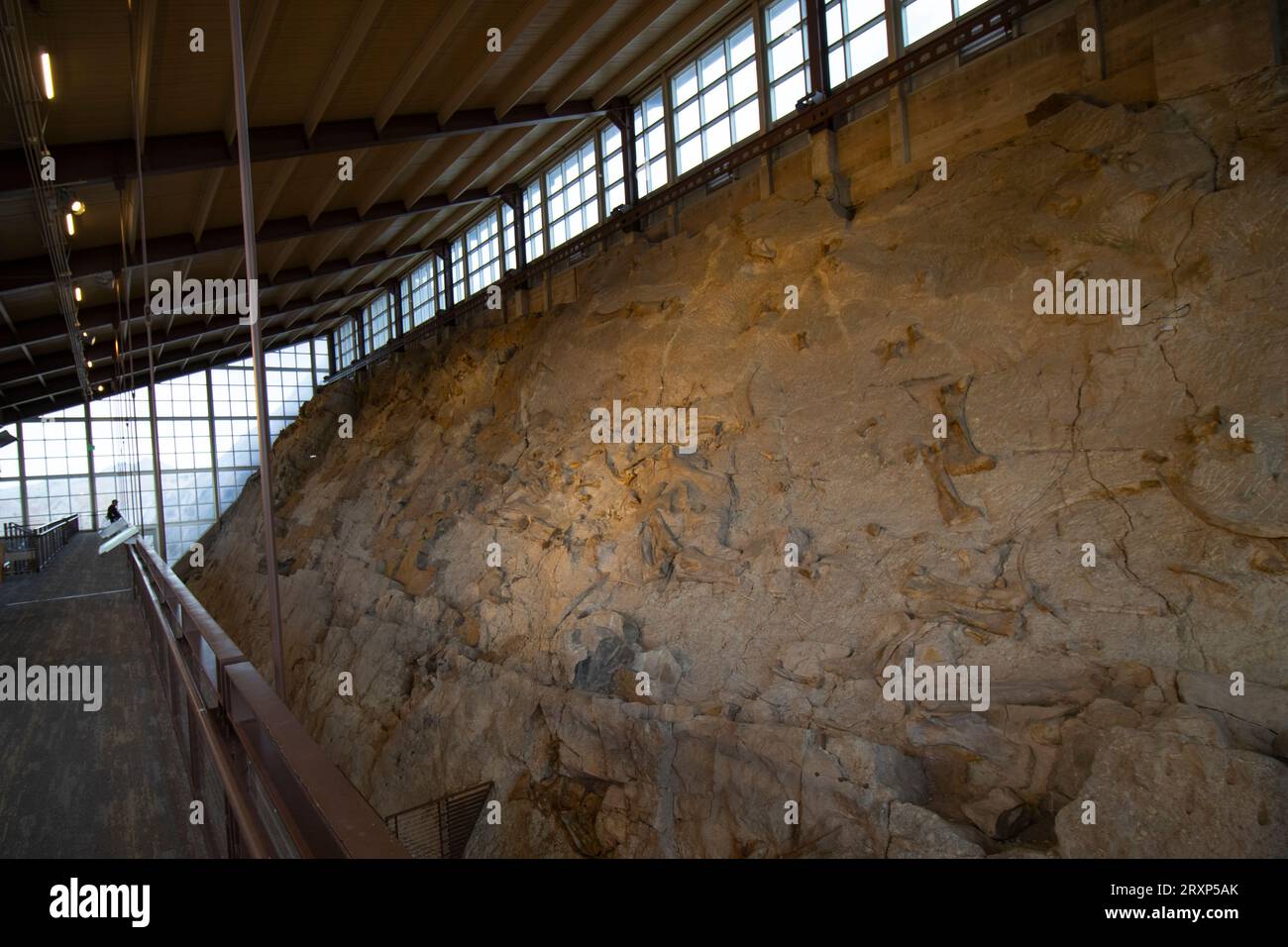 Die Quarry Exhibit Hall am Dinosaur National Monument. Stockfoto