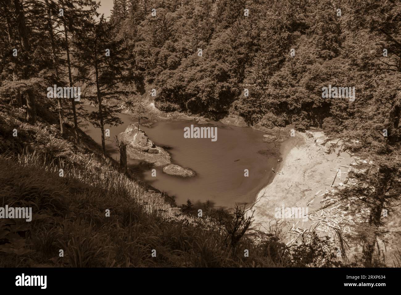 ILLWACO, WASHINGTON, USA – Dead man's Cove im Cape Disappointment State Park. Stockfoto