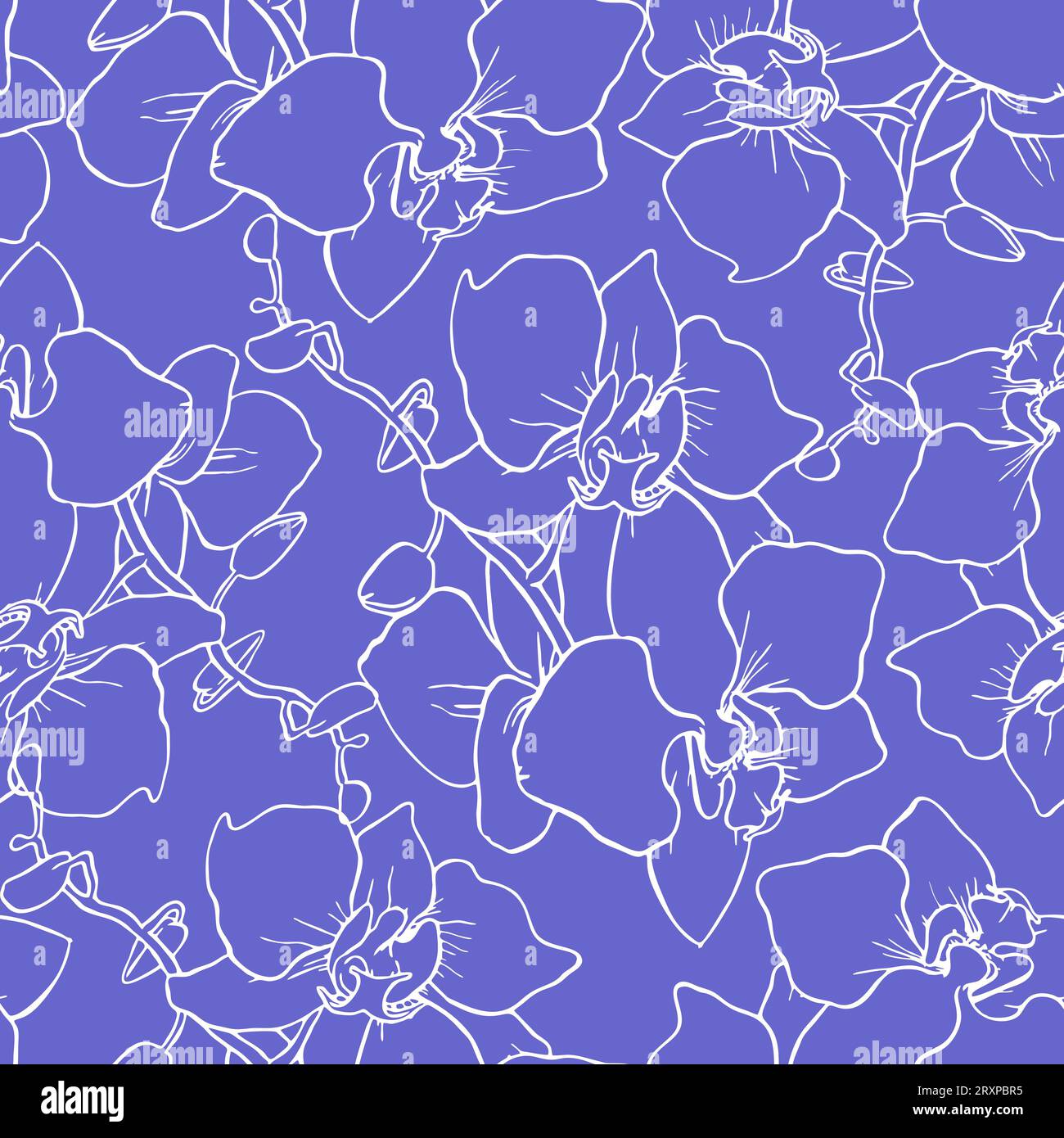 Nahtloses Muster großer weißer Orchideensilhouetten auf blauem Hintergrund, Struktur, Design Stockfoto