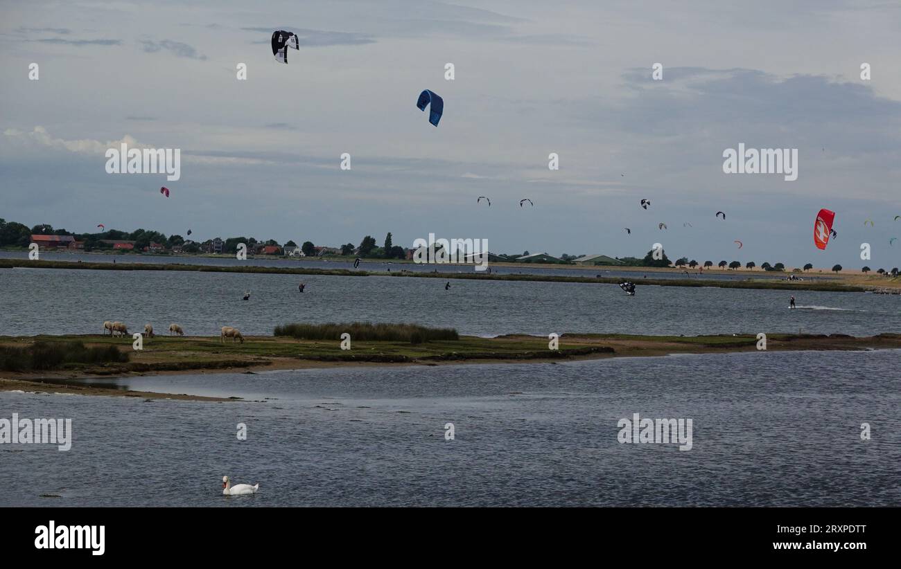 Segelwetter Stockfoto